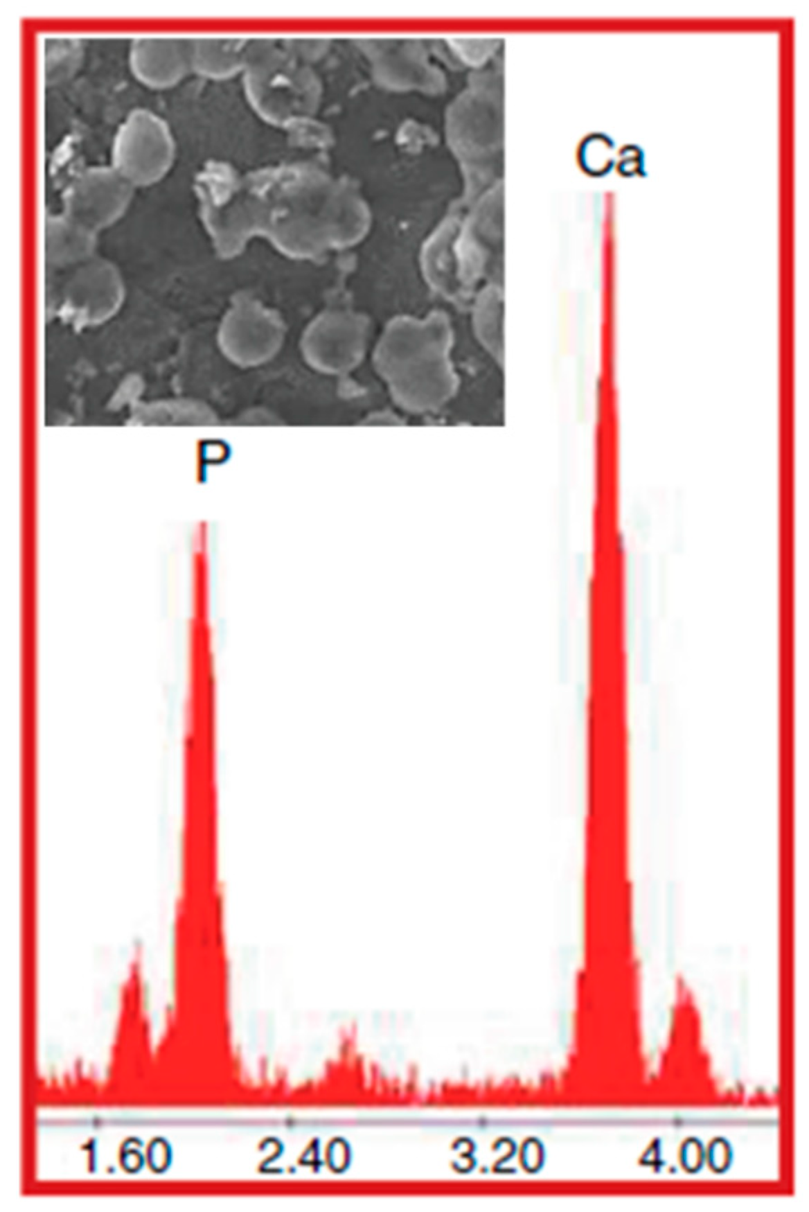 Applsci 11 09311 g006 550