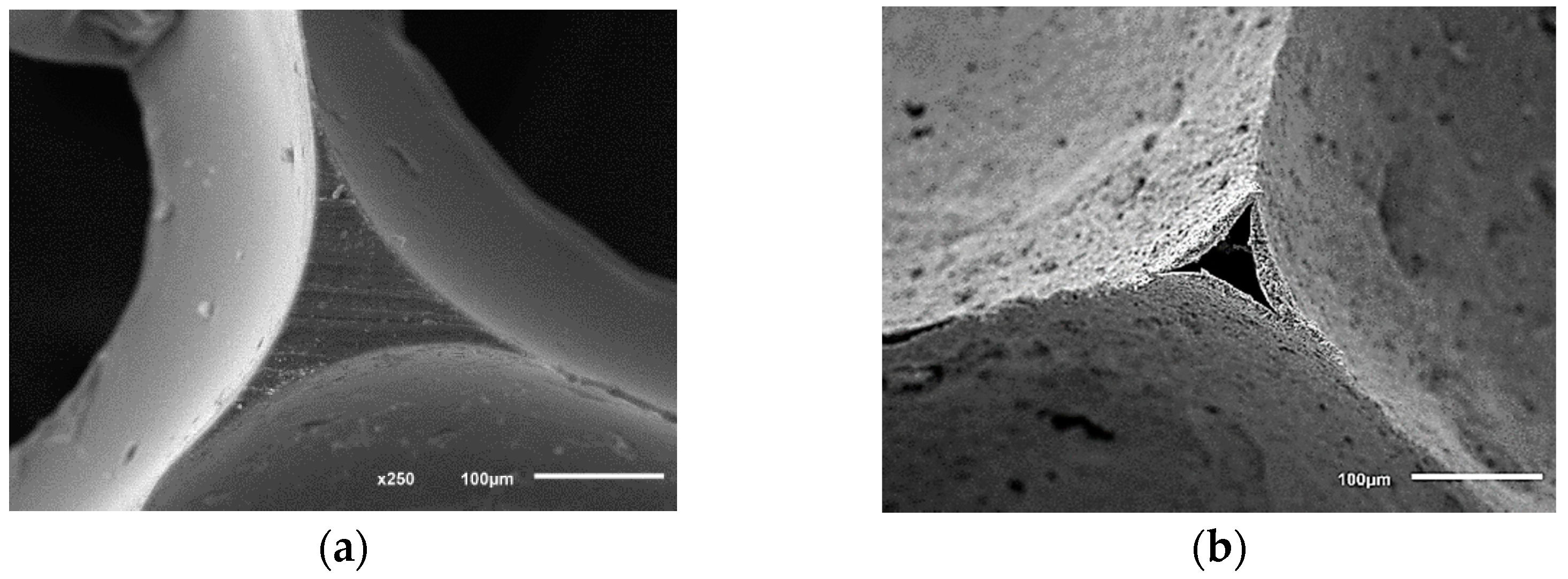 Applsci 11 09326 g002