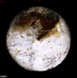 Applsci 11 09329 i007