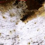 Applsci 11 09329 i008