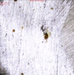 Applsci 11 09329 i016