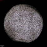 Applsci 11 09329 i019