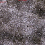 Applsci 11 09329 i024