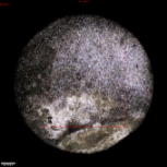 Applsci 11 09329 i027