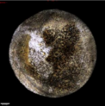 Applsci 11 09329 i035