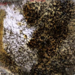 Applsci 11 09329 i036