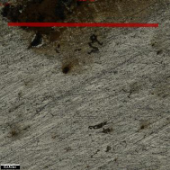 Applsci 11 09329 i046