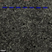 Applsci 11 09329 i061