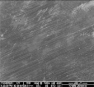 Applsci 11 09329 i071