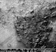 Applsci 11 09329 i073