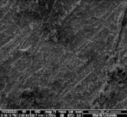 Applsci 11 09329 i074