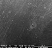 Applsci 11 09329 i075