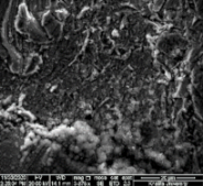 Applsci 11 09329 i076