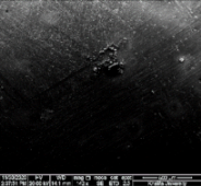 Applsci 11 09329 i077