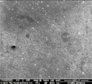 Applsci 11 09329 i079