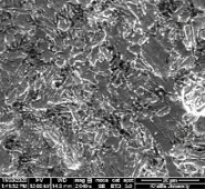 Applsci 11 09329 i080