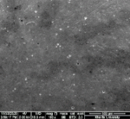 Applsci 11 09329 i081