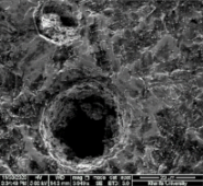 Applsci 11 09329 i082