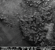 Applsci 11 09329 i083