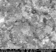 Applsci 11 09329 i084