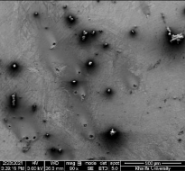 Applsci 11 09329 i085