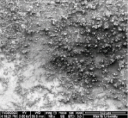 Applsci 11 09329 i087