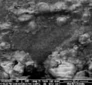 Applsci 11 09329 i088