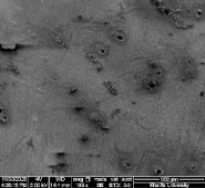 Applsci 11 09329 i089