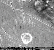 Applsci 11 09329 i090