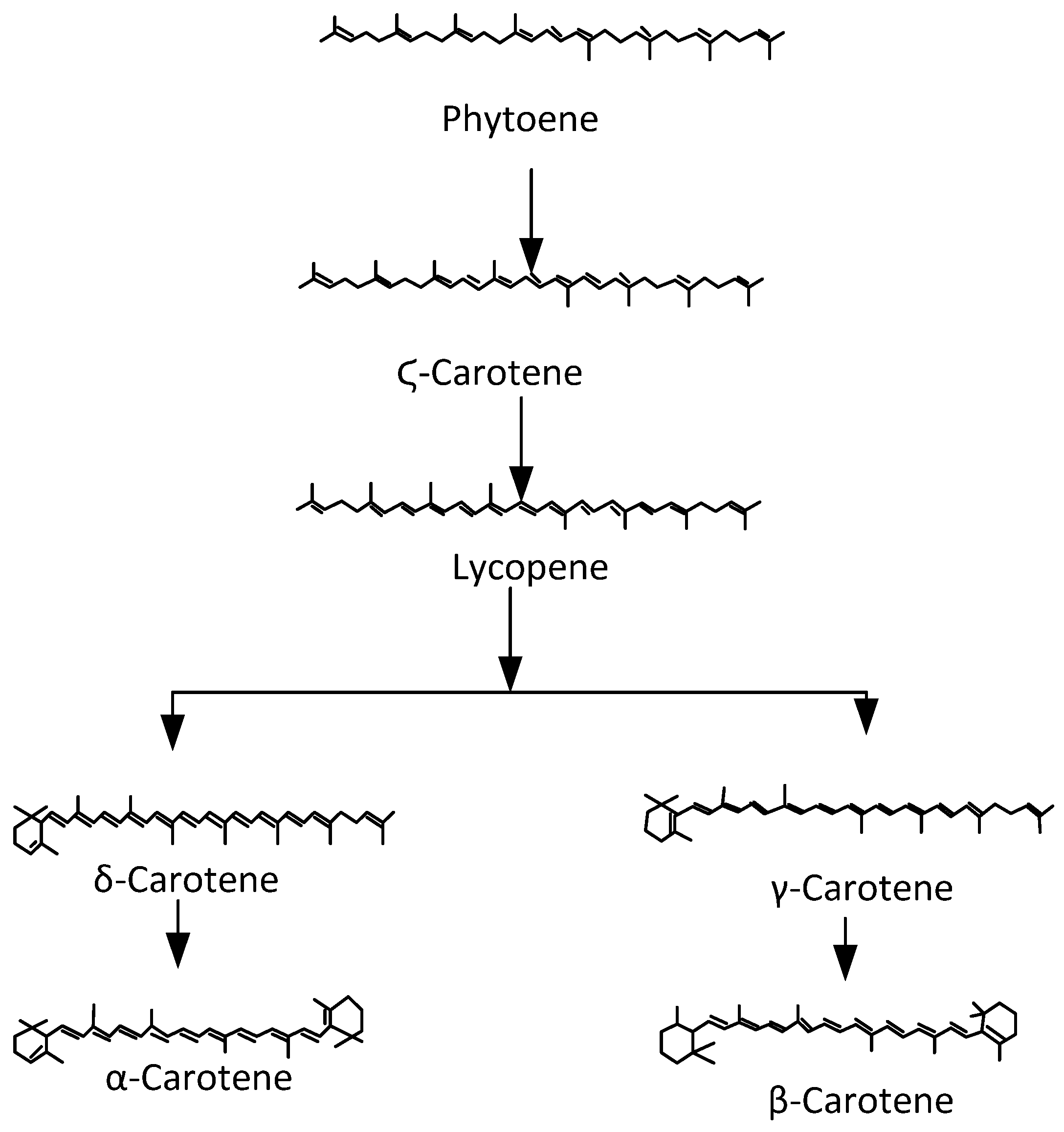 Applied Sciences Free FullText Current Status of Optical Systems