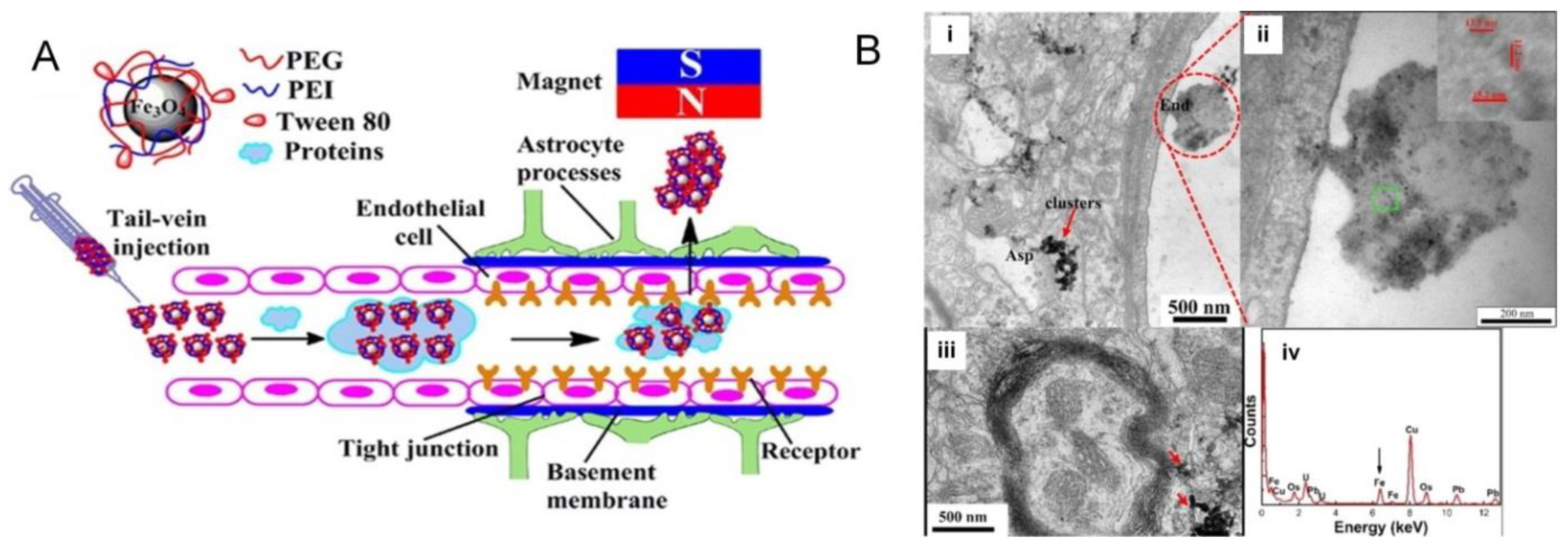 Applsci 11 09336 g008 Applsci 11 09336 g008