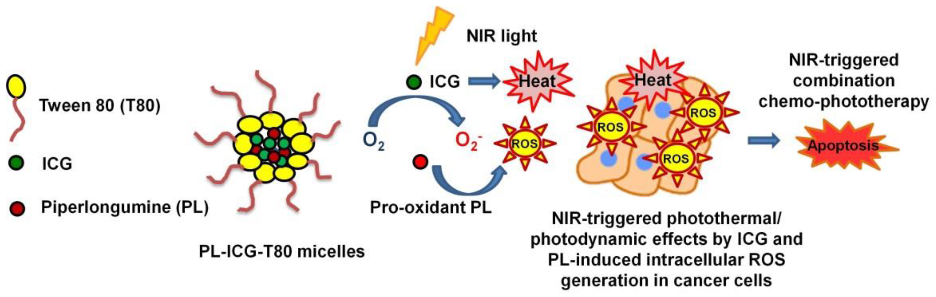 Applsci 11 09336 g011 Applsci 11 09336 g011