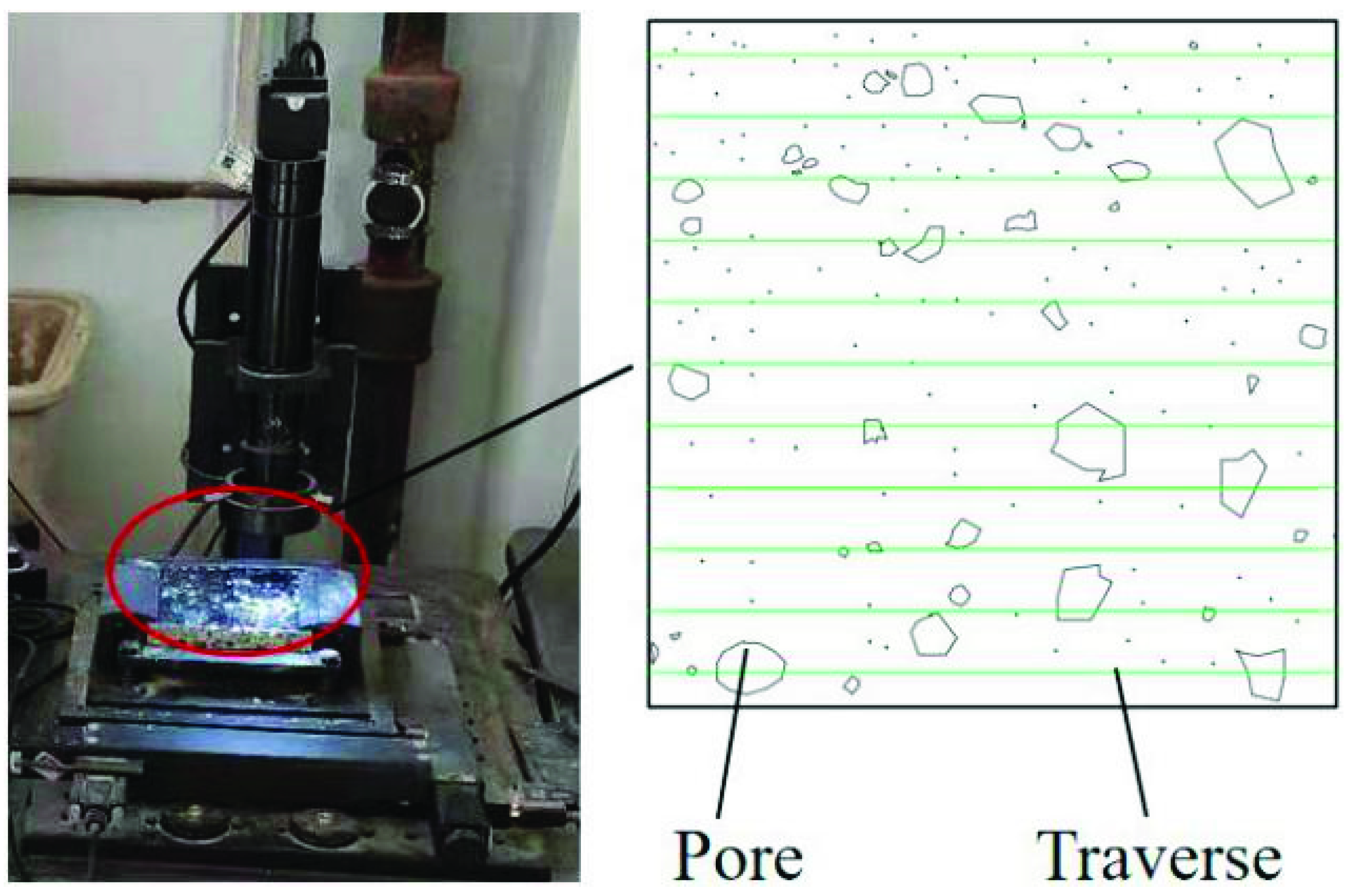 Applsci 11 09338 g006 550