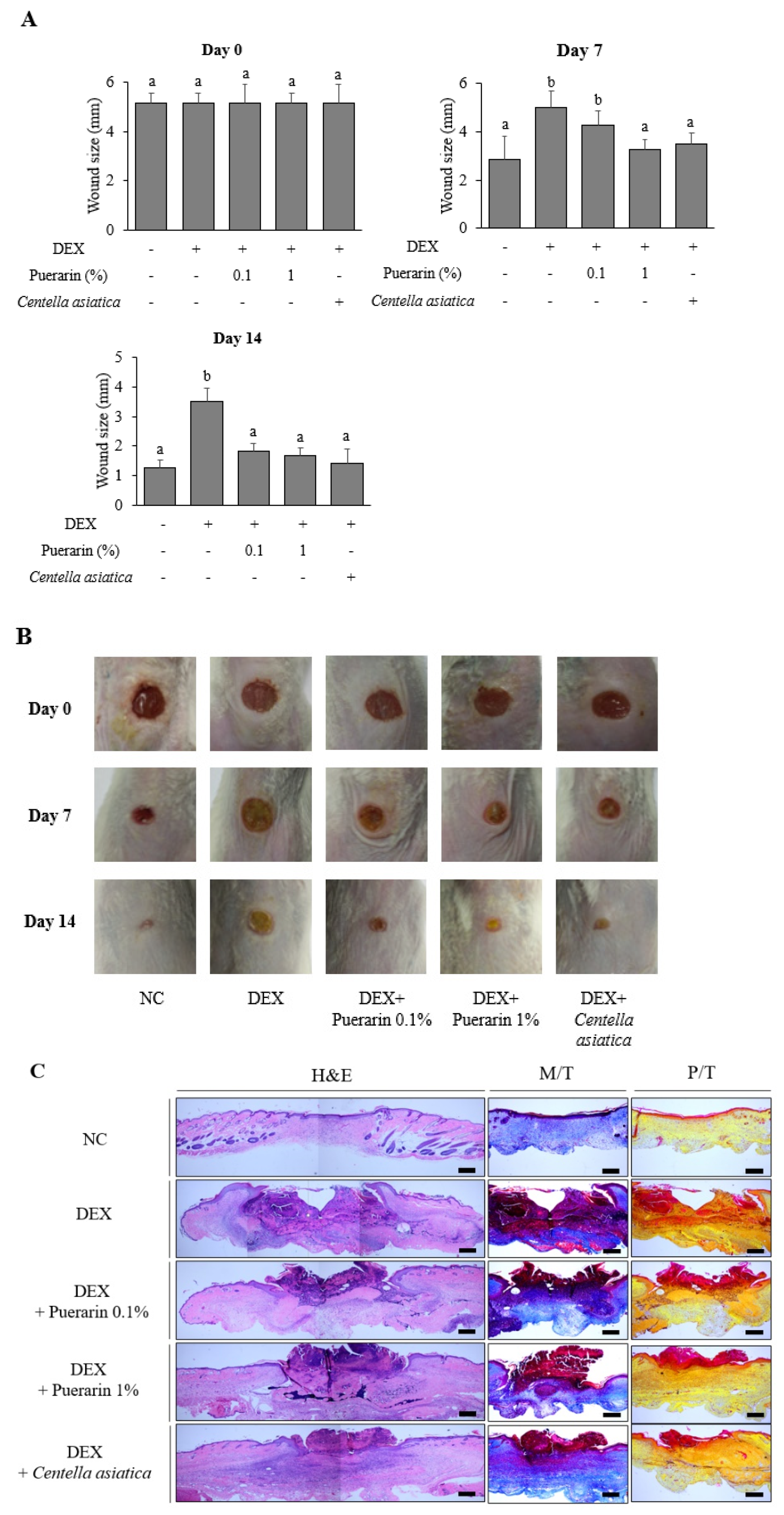 Applsci 11 09343 g001a