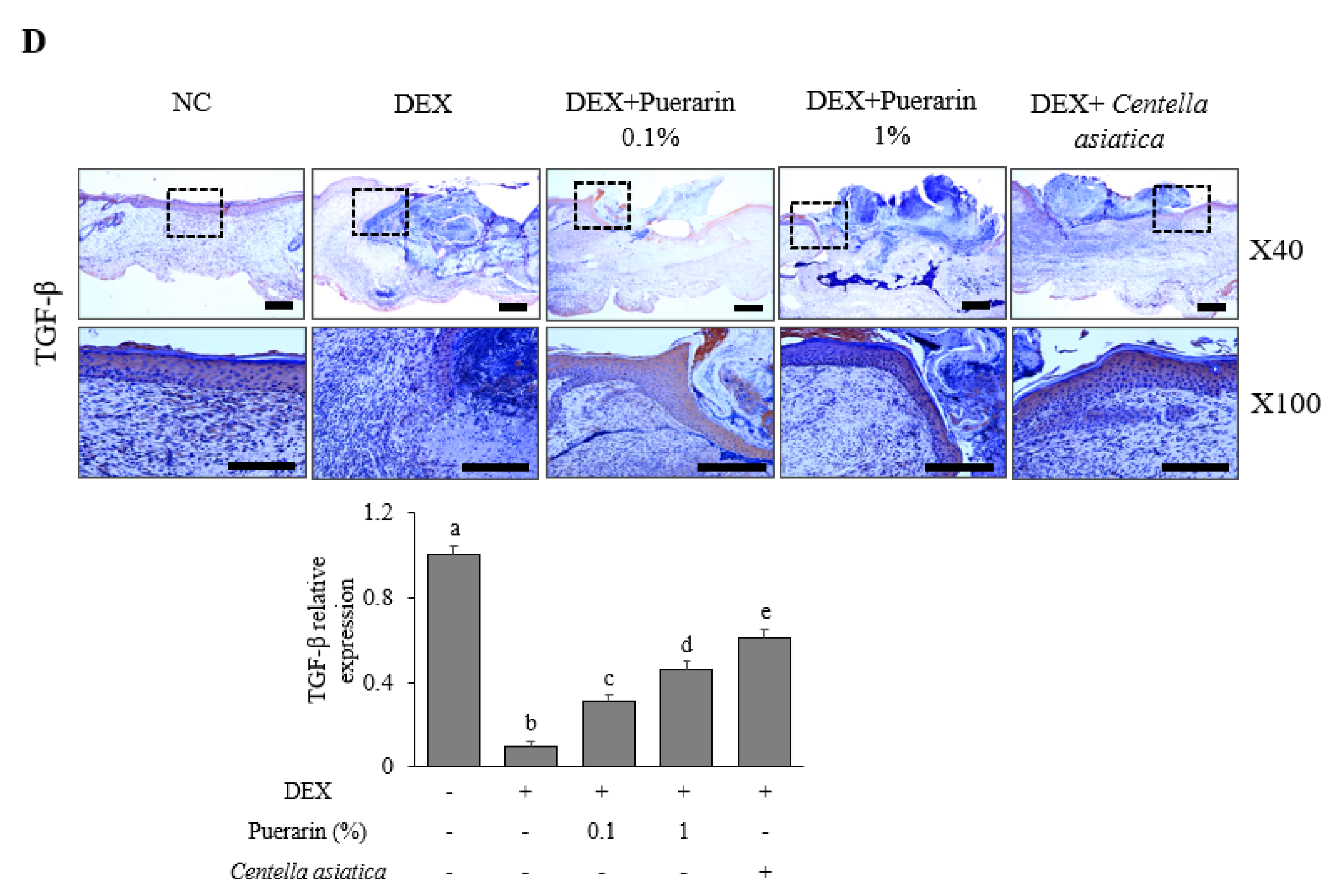 Applsci 11 09343 g001b