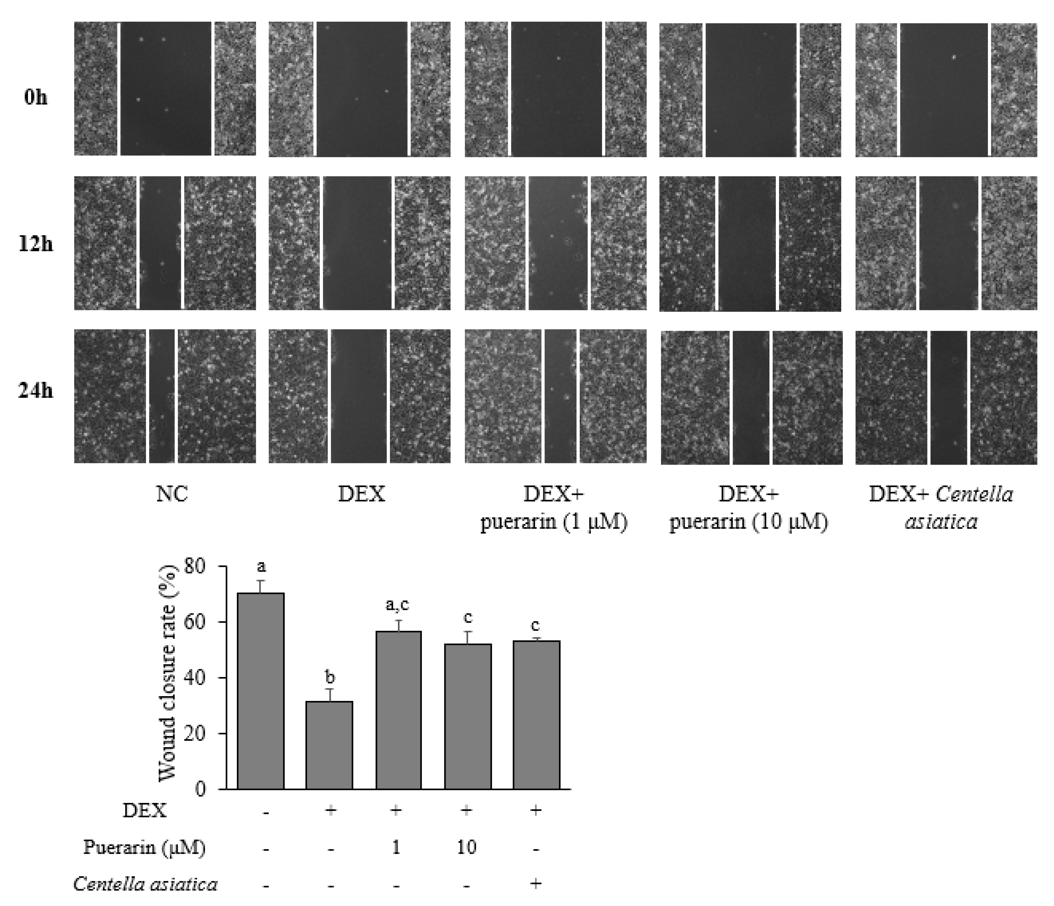 Applsci 11 09343 g003