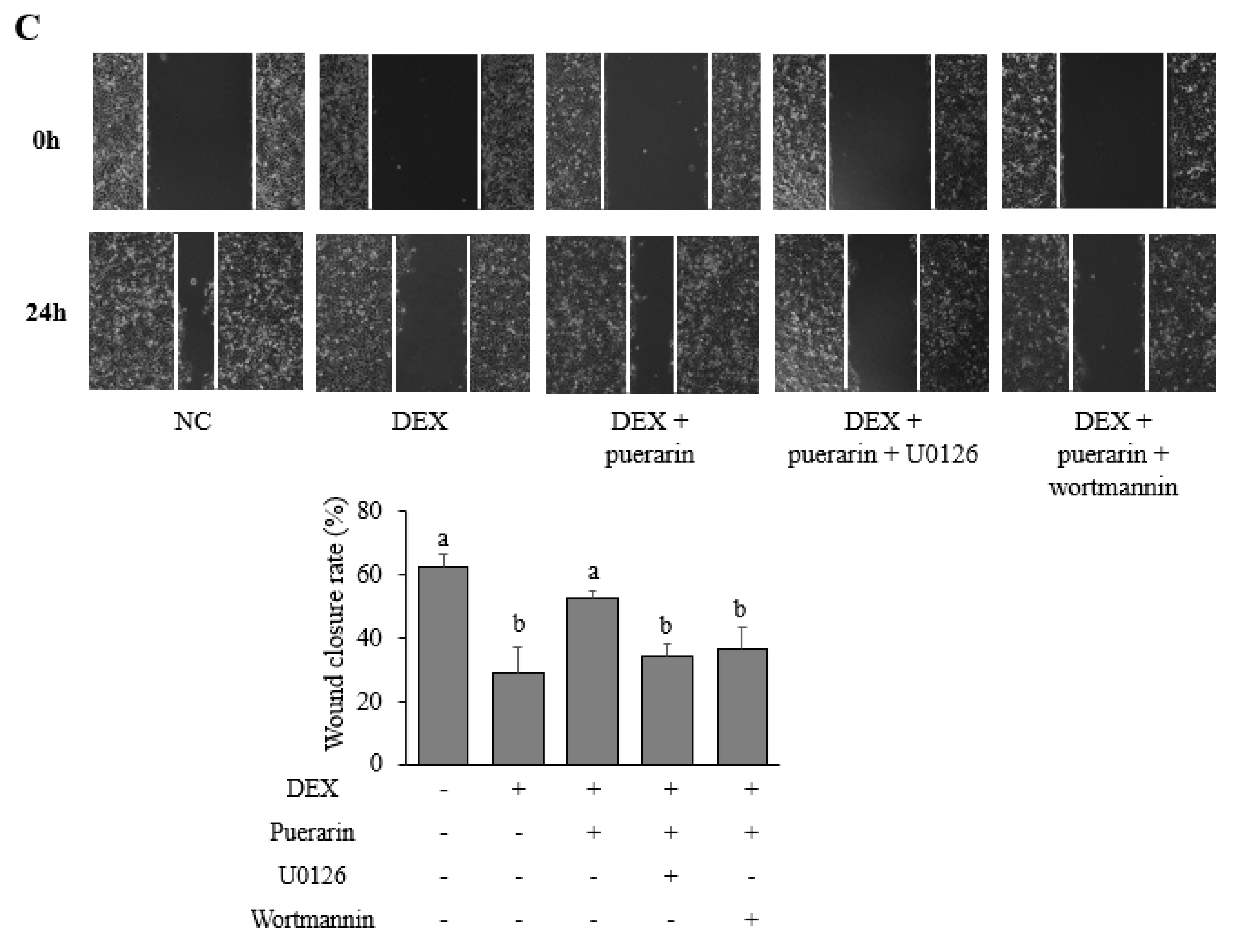 Applsci 11 09343 g004b