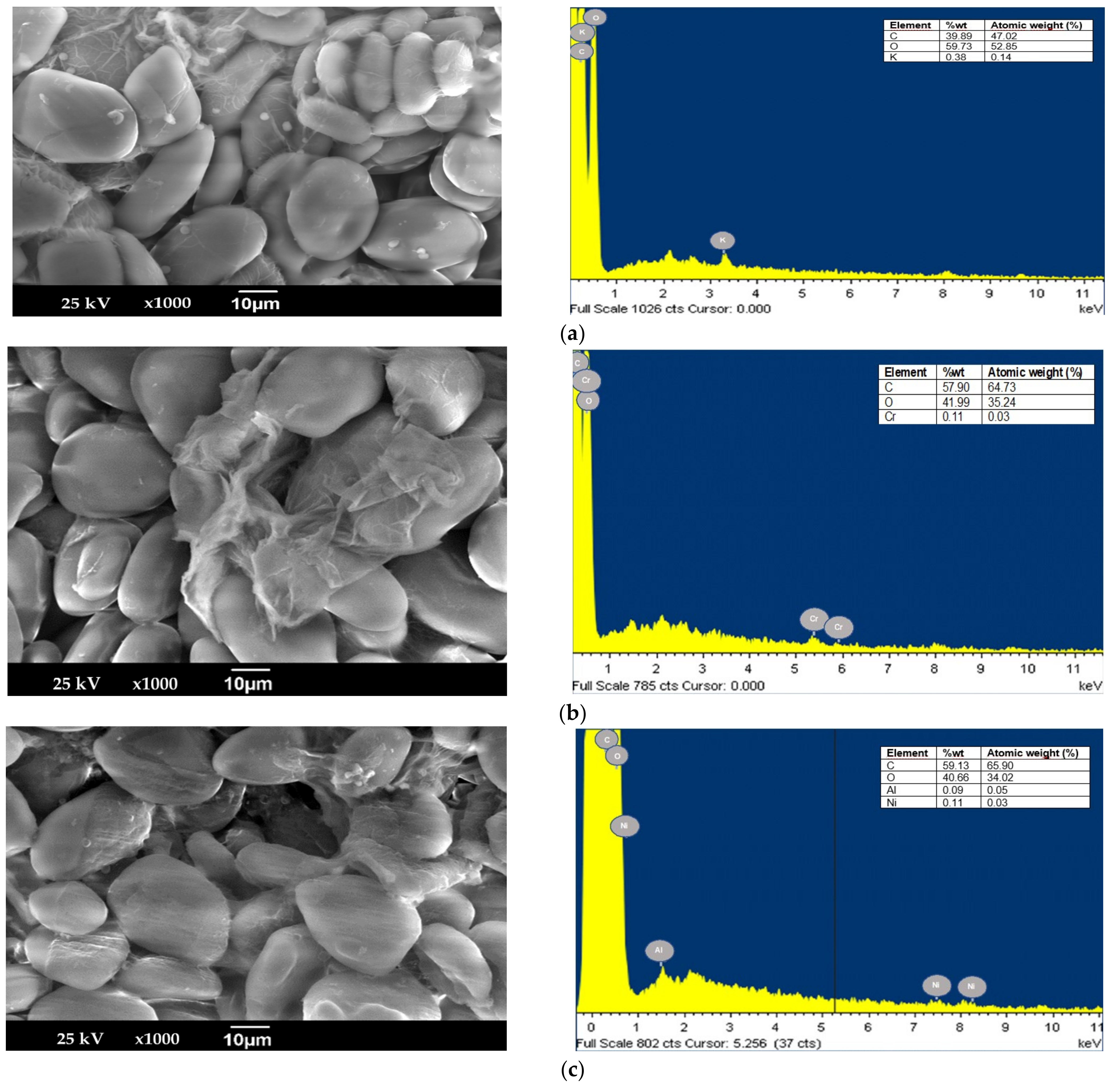 Applsci 11 09355 g004