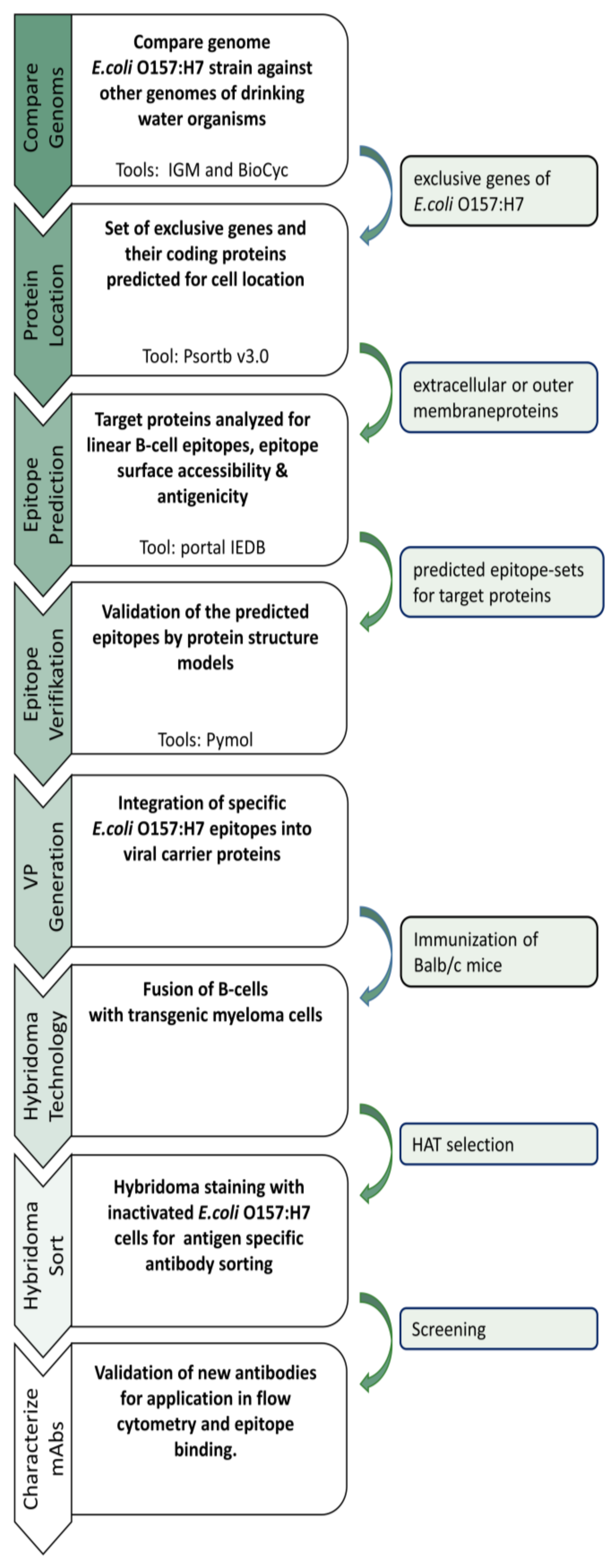 Applsci 11 09359 g002 550
