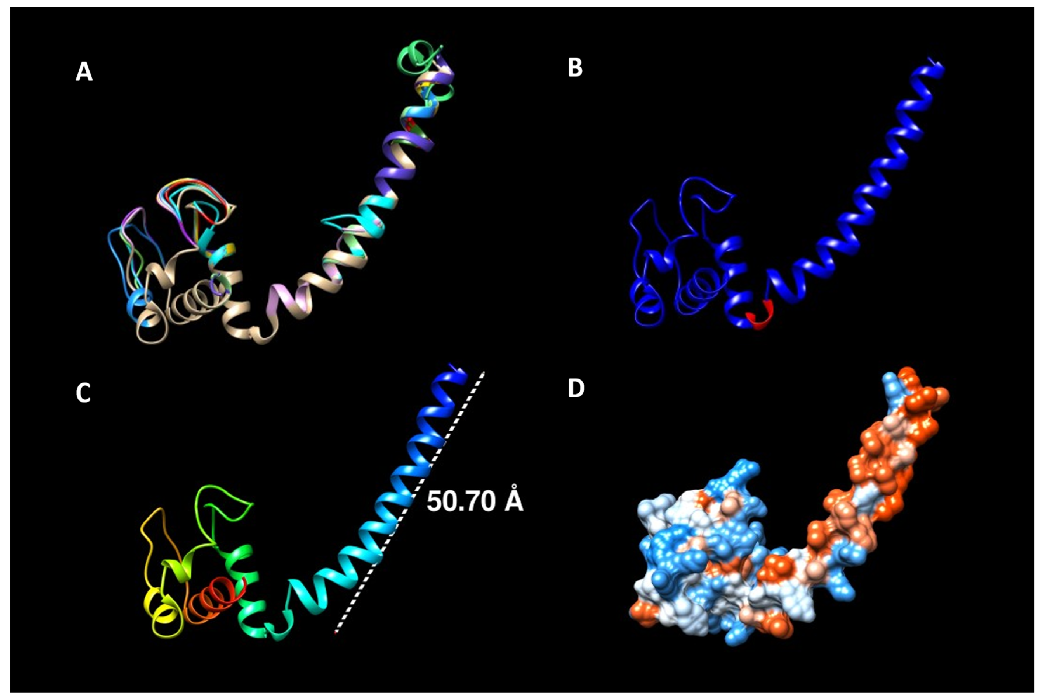 Applsci 11 09396 g002