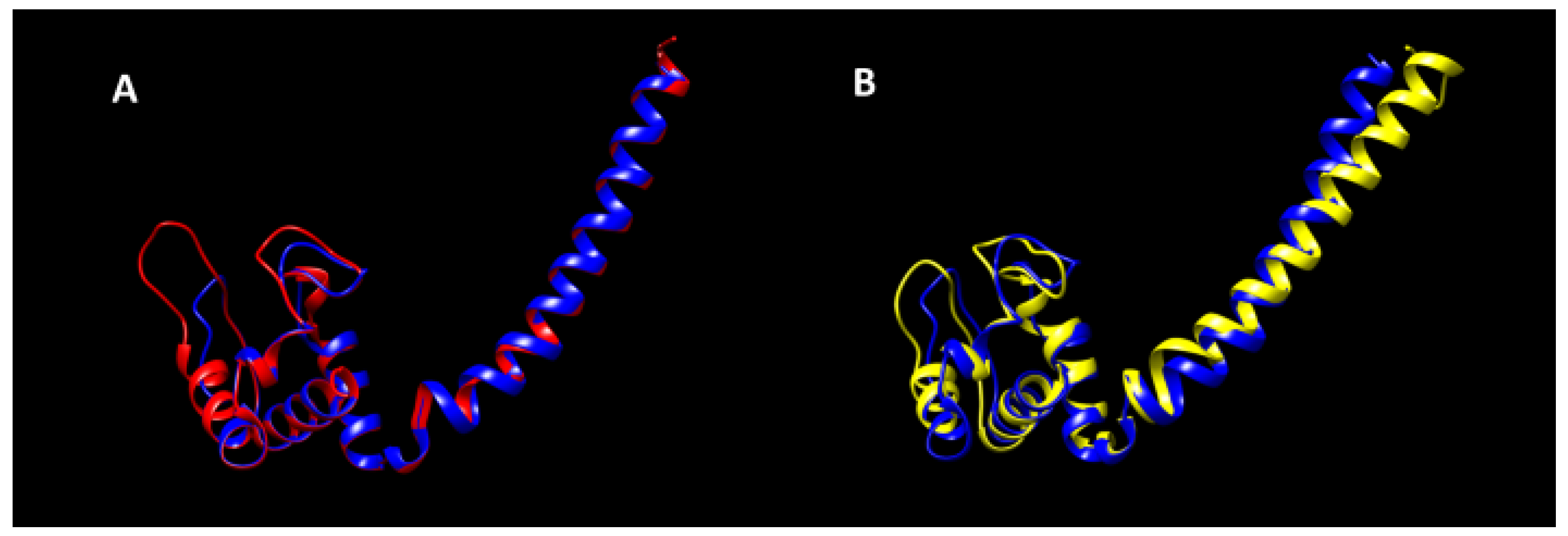 Applsci 11 09396 g003