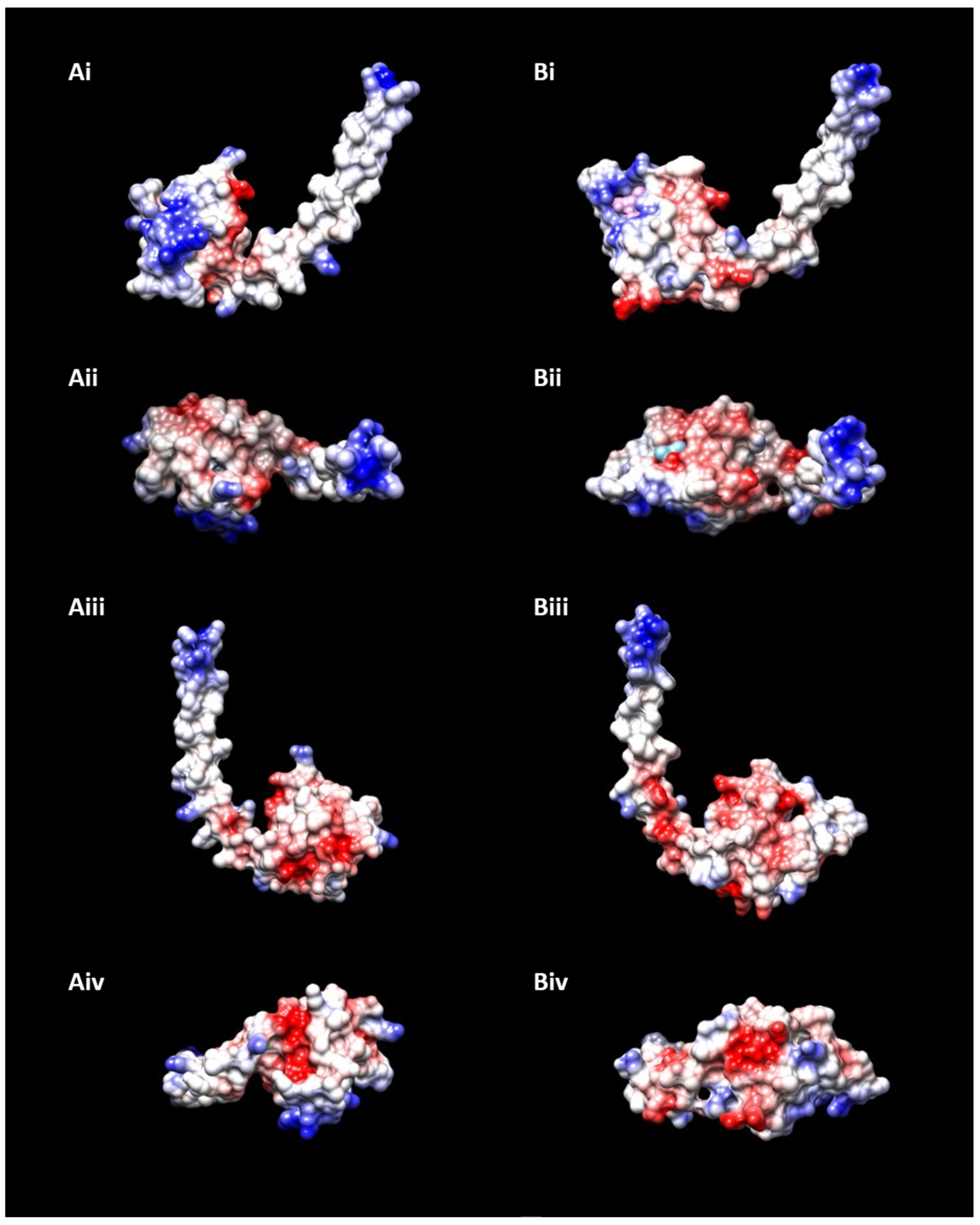 Applsci 11 09396 g004