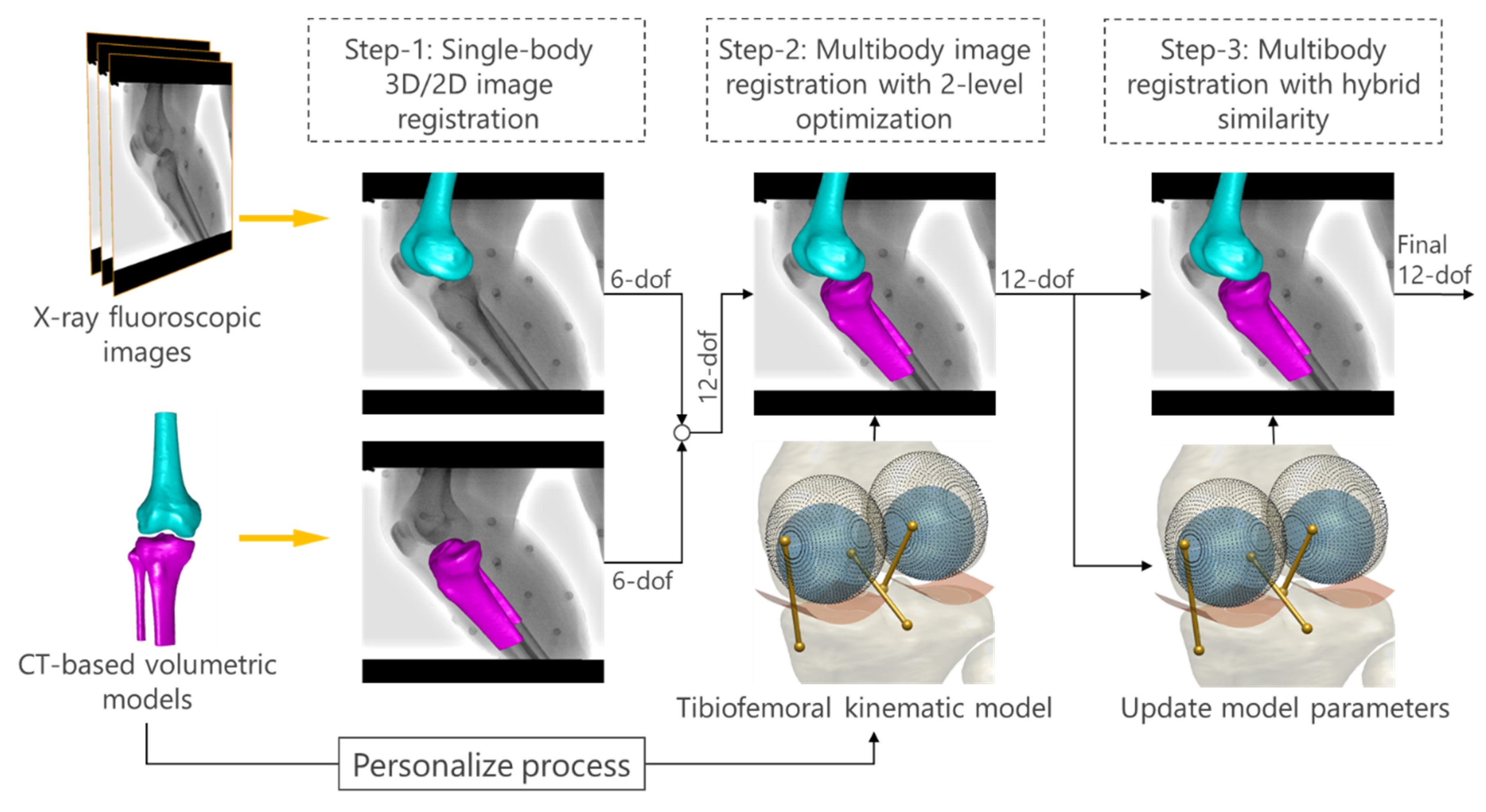 Knee  ditki medical and biological sciences