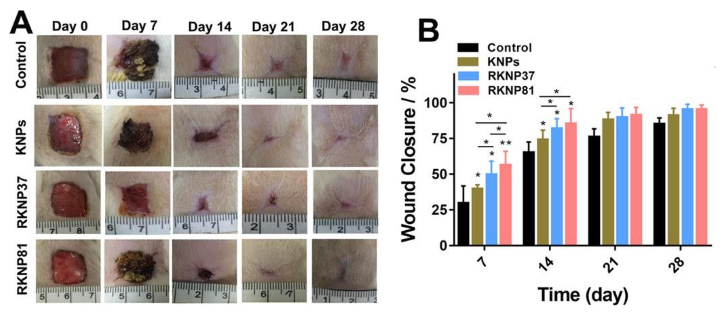 Applsci 11 09417 g004