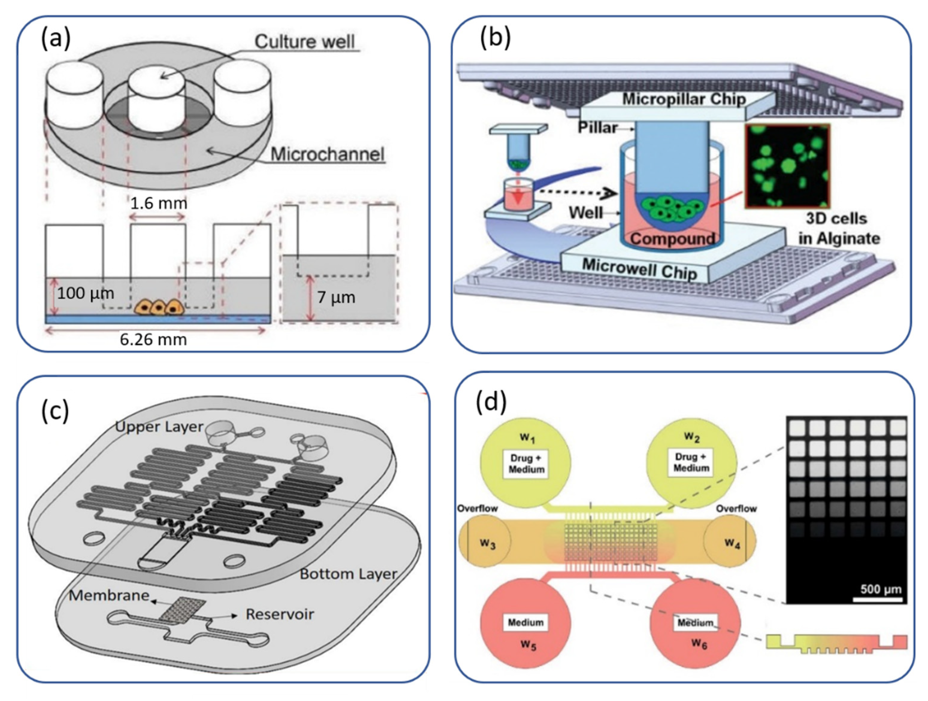 Applied Sciences Free Full Text Anti Cancer Drug Screening With Microfluidic Technology Html