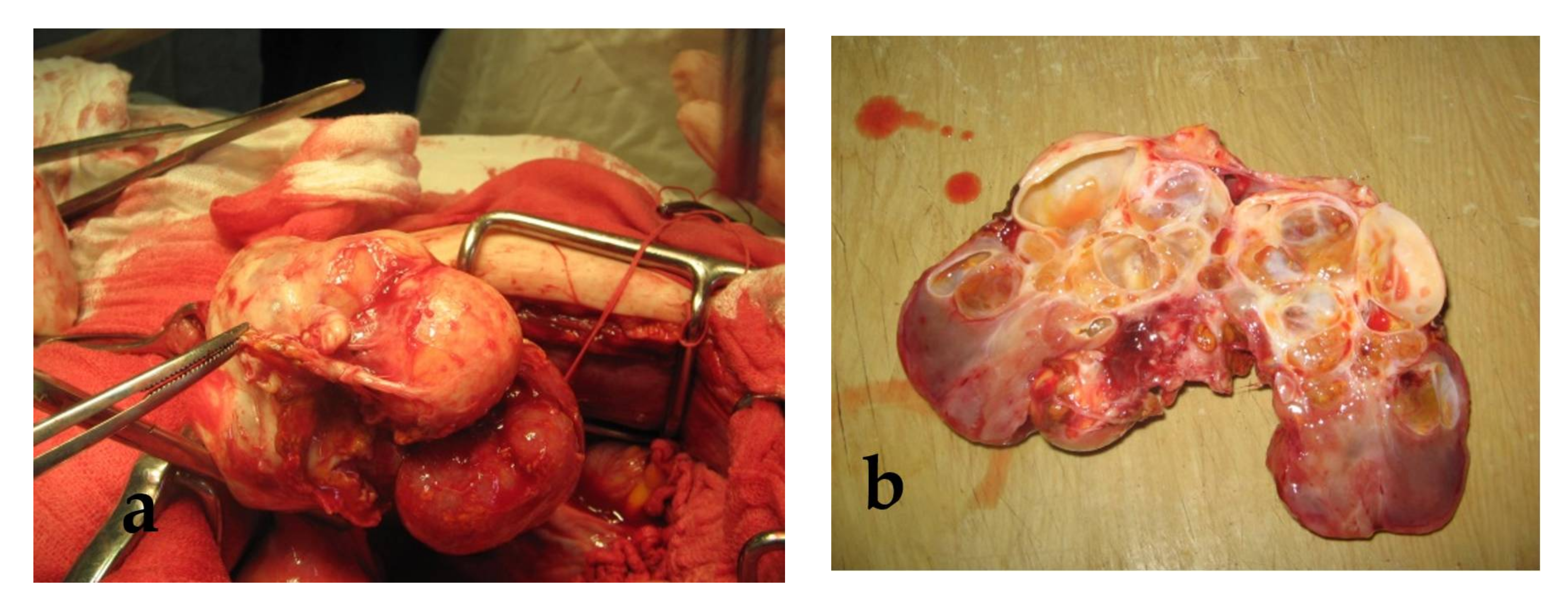 Applsci 11 09427 g002 Applsci 11 09427 g002