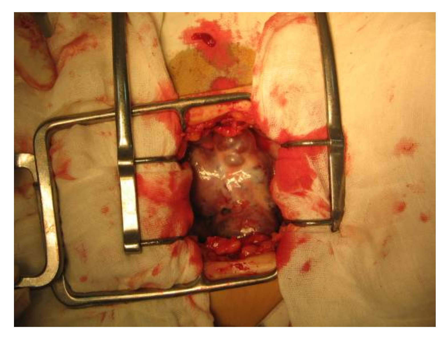 Applsci 11 09427 g005 Applsci 11 09427 g005