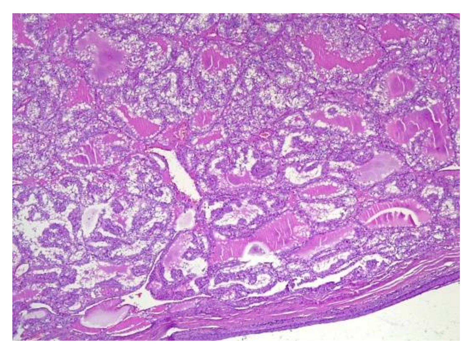 Applsci 11 09427 g006 Applsci 11 09427 g006