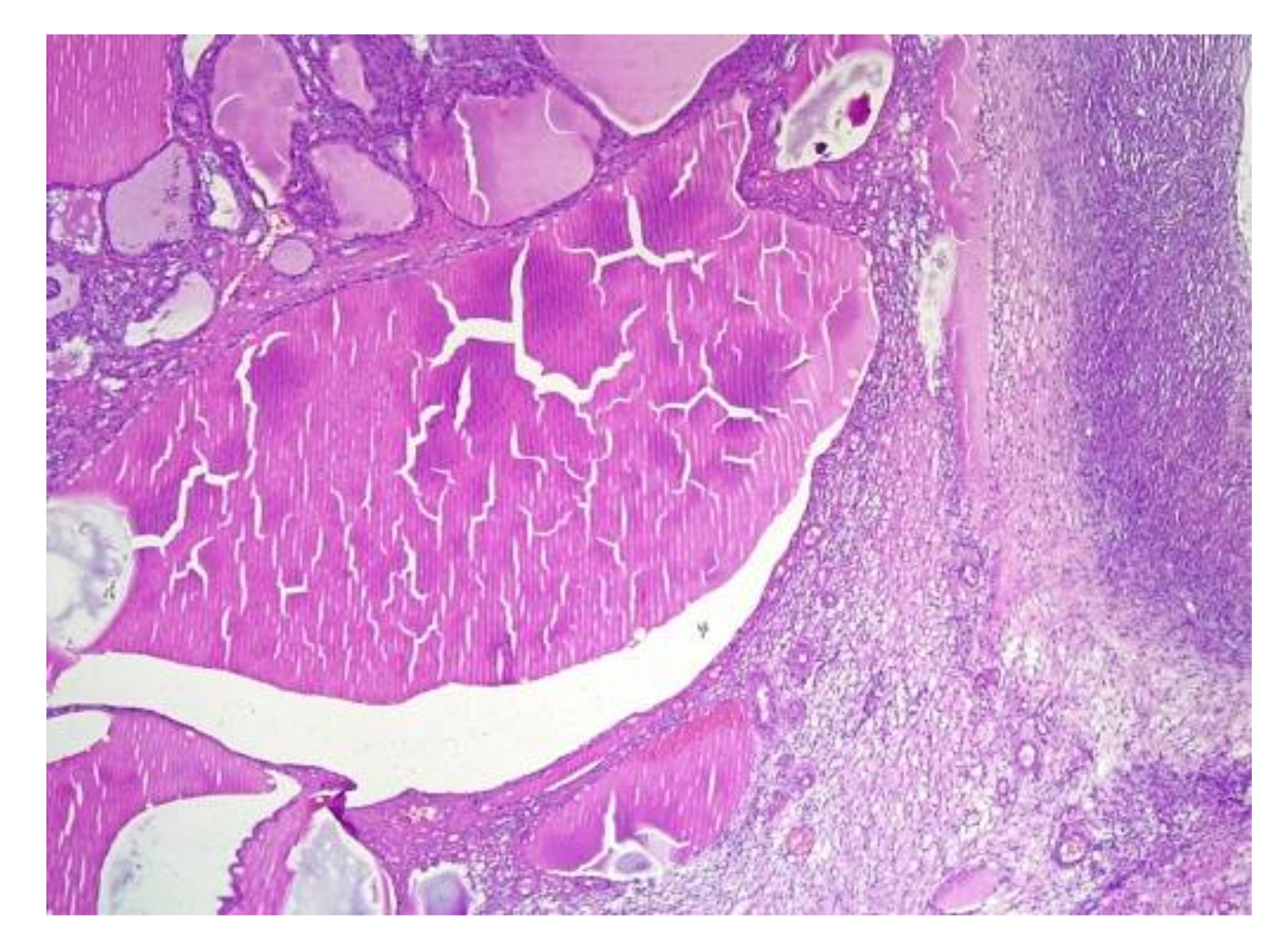 Applsci 11 09427 g007 Applsci 11 09427 g007