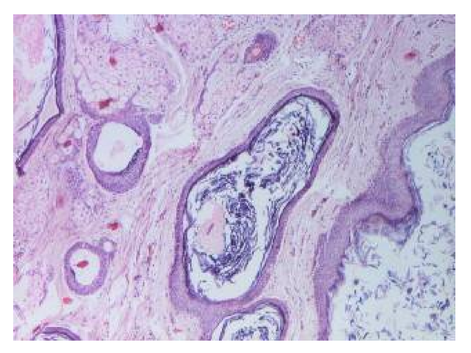 Applsci 11 09427 g008 Applsci 11 09427 g008